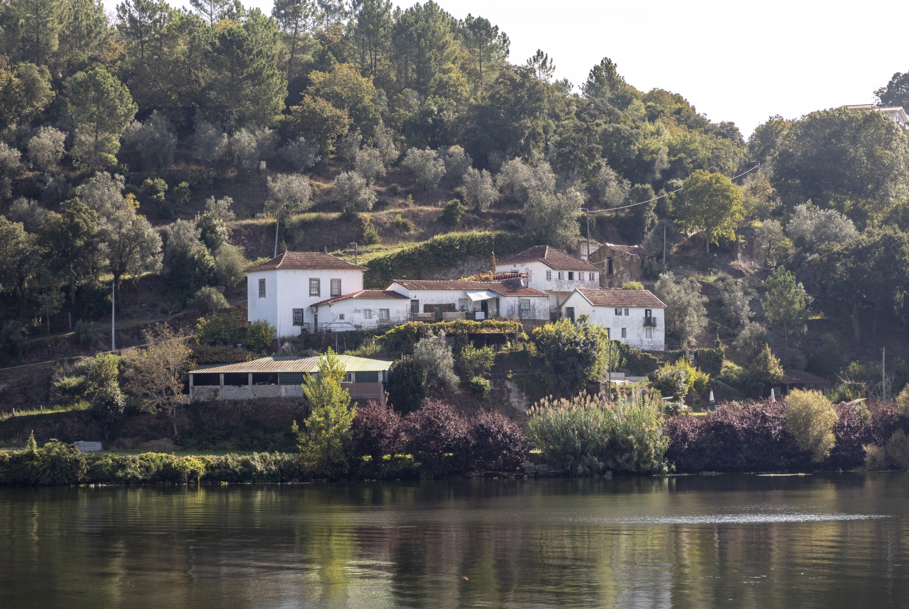 Douro River Cruise Portugal 2023